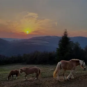 Cà Montemezzano Bed & Breakfast Verona