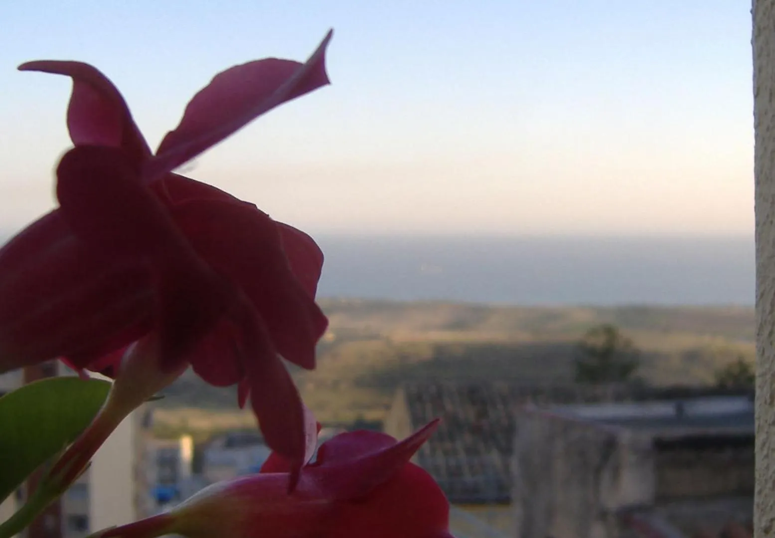 I Tetti Di Girgenti Bed & Breakfast Agrigento